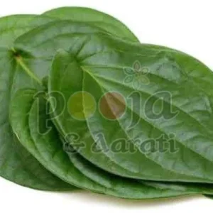 fresh ritual offering betel leaves