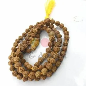 spiritual prayer natural rudraksha mala